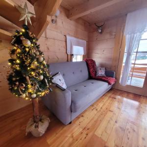 DzianiszDomek u Beaty的客厅配有圣诞树和沙发