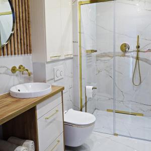 耶莱尼亚古拉Apartamenty u ROXI的带淋浴、卫生间和盥洗盆的浴室