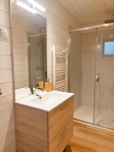 Lignièreschalet bois cosy et chaleureux的一间带水槽和淋浴的浴室