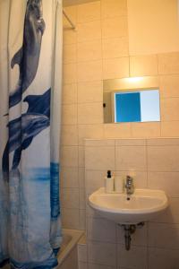 柏林柏林大都会酒店的一间带水槽和淋浴帘的浴室