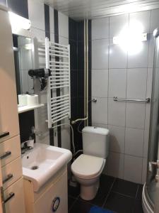 斯科普里Empire Apartments的浴室配有白色卫生间和盥洗盆。