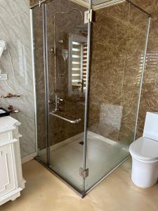 下龙湾Aquamarine Premium Cruise的一间带卫生间的浴室内的玻璃淋浴间