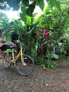 阿努拉德普勒Evergreen Villa Nature Resort的停在花园前的黄色自行车