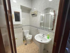 哈恩Piso compartido Delyrent, Safa的一间带水槽、卫生间和镜子的浴室