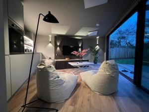 伍德斯托克Contemporary Annex的客厅配有2个白色枕头,位于地板上