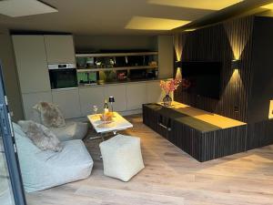 伍德斯托克Contemporary Annex的客厅配有电视、沙发和桌子