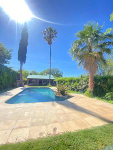 圣拉斐尔Chalet San Rafael的棕榈树庭院内的游泳池