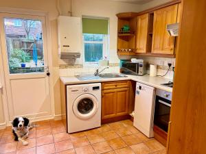 RoffeyKB21 Attractive 2 Bed House, pets/long stays with easy links to London, Brighton and Gatwick的厨房配有洗衣机和狗