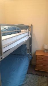 都柏林Fernando's place的一间卧室配有两张双层床,铺有蓝色床单。