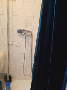 布鲁塞尔Evere home - Private room的浴室内配有蓝色淋浴帘