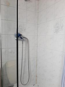 布鲁塞尔Evere home - Private room的带淋浴和卫生间的浴室