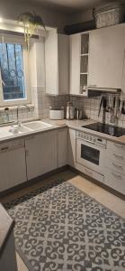 格拉茨Apartment Waltendorf的厨房配有水槽和炉灶 顶部烤箱