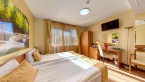 索非亚欧洲酒店的配有一张床和一张书桌的酒店客房