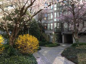 慕尼黑Zentrales EG Apartment im Glockenbachviertel的走道前有花树的建筑