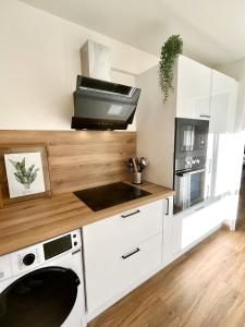 凯恩Charmant studio + parking privé的厨房配有洗衣机和烘干机