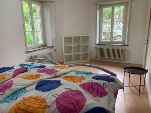 MitlödiRevier schlicht und bahnsinnig的一间卧室设有两张床和两个窗户。