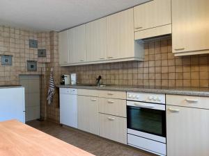 DiesbachRevier Bliili und Spitzer的厨房配有白色橱柜和炉灶烤箱。
