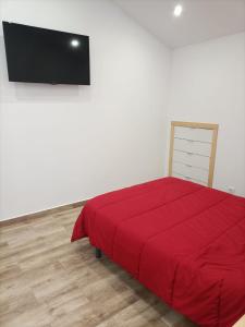 ValgaJacuzzi Barcala的一间卧室配有红色的床和一台平面电视