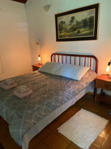 圣弗朗西斯科泽维尔Chalés SFX的一间卧室配有一张带两个枕头的床