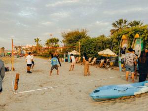 帕拉卡斯Viajero-Kokopelli Paracas Hostel的一群人在沙滩上打排球