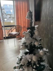佩皮尼昂Perpignan Vauban magnifique T2 avec balcon的椅子房间里一棵圣诞树