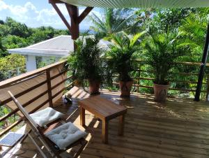 大博格Villa-Coco的木甲板上种有长凳和棕榈树
