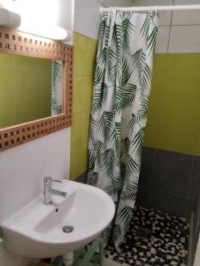 大博格Villa-Coco的一间带水槽和淋浴帘的浴室