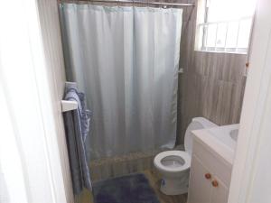 Arnos ValeBasil At Villa的带淋浴帘和卫生间的浴室