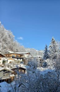 NiederndorfBio-Chalet Haus Wagner的一座满是树木和建筑物的积雪的村庄