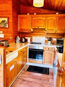 约克Secluded Rustic Cabin - A Digital Detox Paradise.的厨房配有木制橱柜和炉灶烤箱。