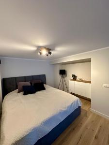 ĶesterciemsAlbatross Loft的一间卧室配有一张床和吊扇