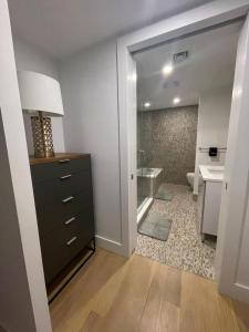 纽约Large 3 bedroom in Flatiron的一间带水槽、卫生间和梳妆台的浴室