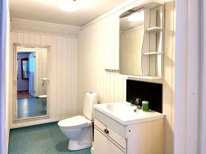 塔那比House in Tärnaby的一间带卫生间、水槽和镜子的浴室