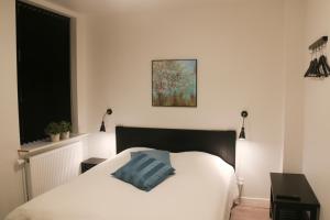 海尔斯Hals Hotel的卧室配有白色的床和蓝色枕头