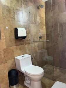 洛哈HOSTAL CAMIL的一间带卫生间和玻璃淋浴间的浴室