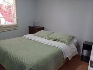 奥索尔诺CABAÑA OSORNO Ruta 215的一间卧室配有一张带绿色床单的床和床头柜。