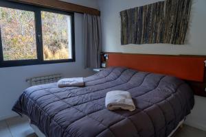 圣卡洛斯-德巴里洛切Belgrano Decks II的一间卧室配有一张带紫色毯子的床和两个窗户。
