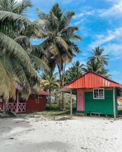 CagantupoCabaña privada en Guna Yala isla diablo baño compartido的棕榈树海滩上的红绿小棚