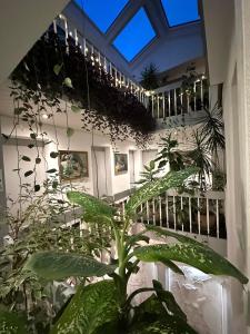 特尔古穆列什Villa Helvetia的一间有一堆植物的房间
