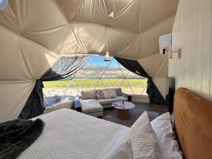 克伦威尔Glamping Dome - Rosé的帐篷内的房间,配有一张床和一张沙发