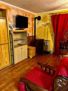 瓦托内切Casa del Lago的客厅配有红色沙发和电视