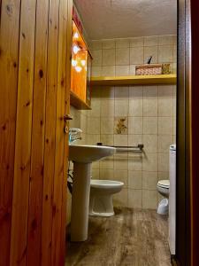 瓦托内切Casa del Lago的一间带水槽和卫生间的浴室