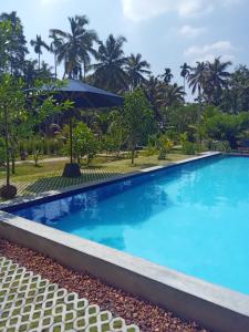 尼甘布Steps Garden Resort的度假村的游泳池,以棕榈树为背景