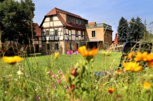 皮尔纳Ferienhaus Lindenhof Graupa的一座古房子,前面有花田