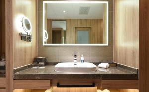 长春长春高新亚朵酒店的一间带水槽和大镜子的浴室