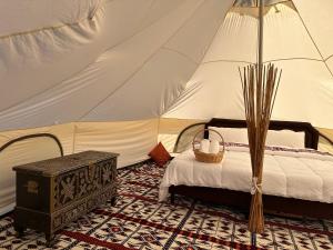BadīyahThousand Stars Desert Camp的帐篷内一间卧室,配有一张床