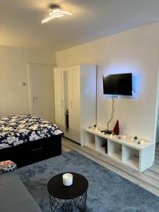 萨莫博尔Studio apartman Stefi的卧室配有一张床,墙上配有电视。