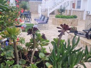 厄尔·波普瑙·德尔·戴尔La Llar de Laura的庭院里种着许多植物和椅子