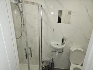 奥平顿Impeccable 5-Bed House in Orpington的带淋浴、卫生间和盥洗盆的浴室