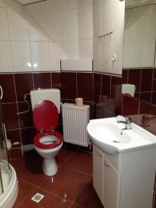 布加勒斯特Carol 51 Hostel的一间带红色卫生间和水槽的浴室